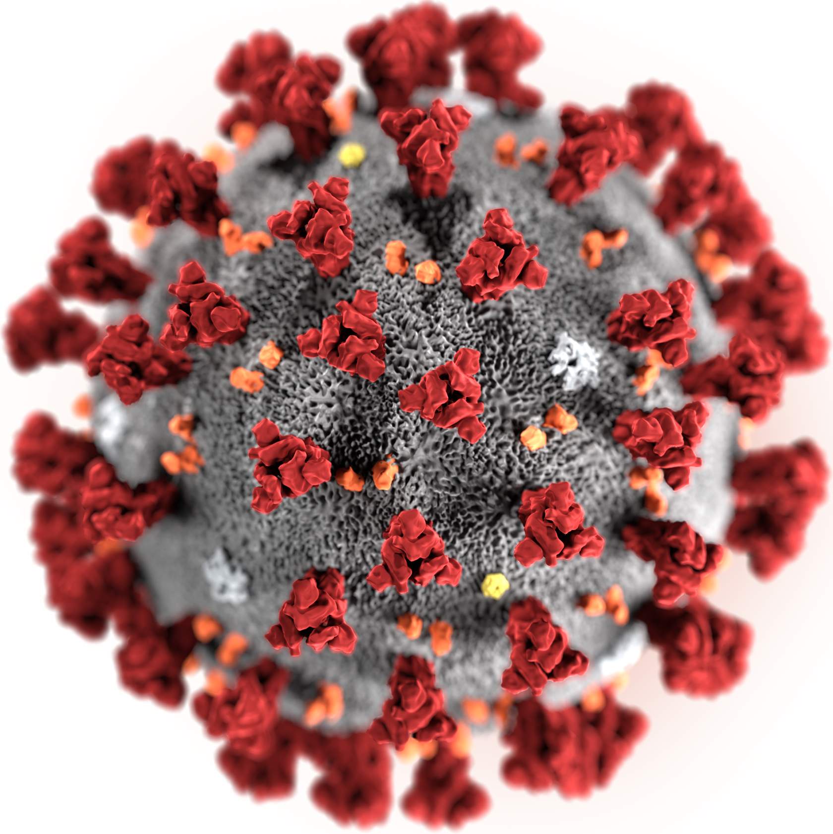 Coronavirus: conoscere e prevenire
